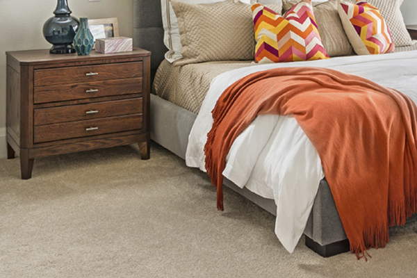 Steam Carpet Cleaning Services